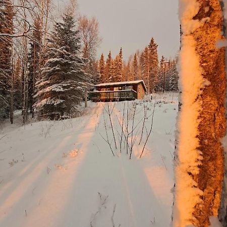 Northwoods Cottage Bed And Breakfast Fairbanks Exterior photo