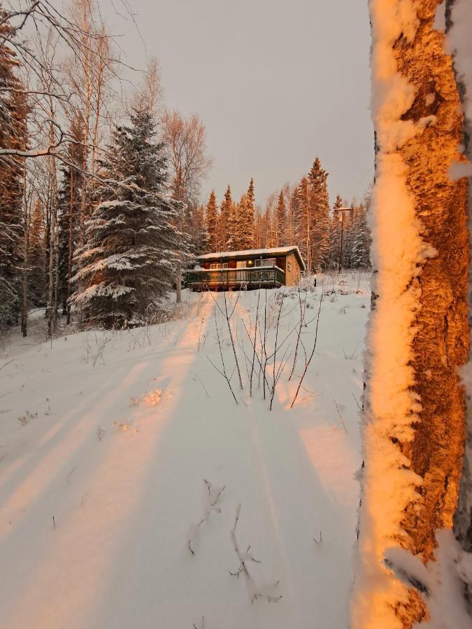 Northwoods Cottage Bed And Breakfast Fairbanks Exterior photo