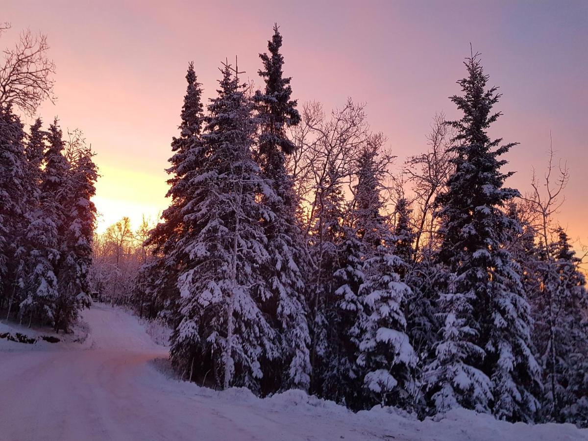 Northwoods Cottage Bed And Breakfast Fairbanks Exterior photo