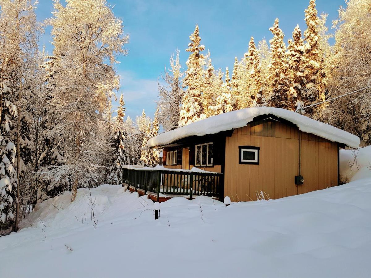Northwoods Cottage Bed And Breakfast Fairbanks Exterior photo