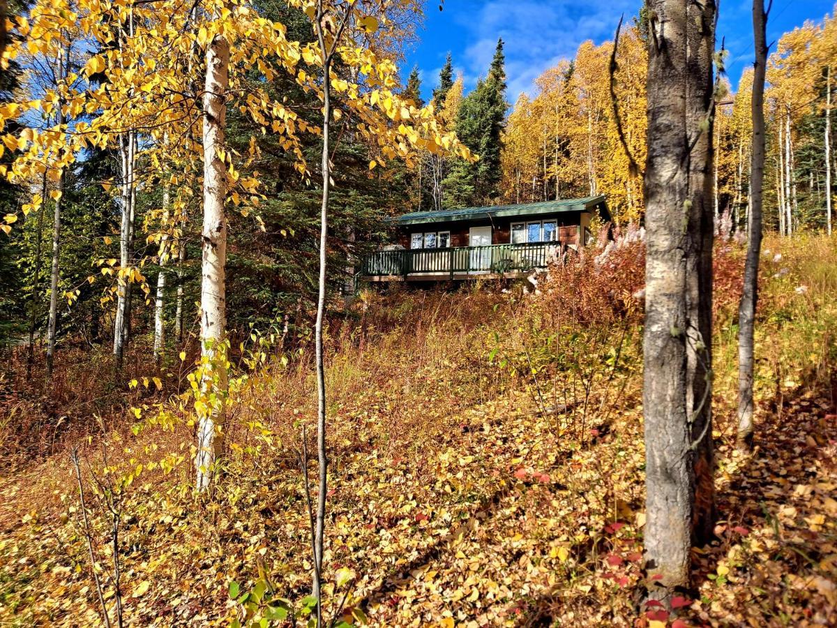 Northwoods Cottage Bed And Breakfast Fairbanks Exterior photo
