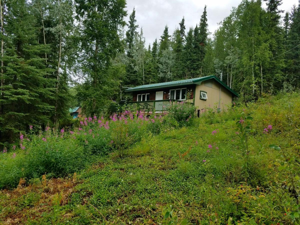 Northwoods Cottage Bed And Breakfast Fairbanks Exterior photo