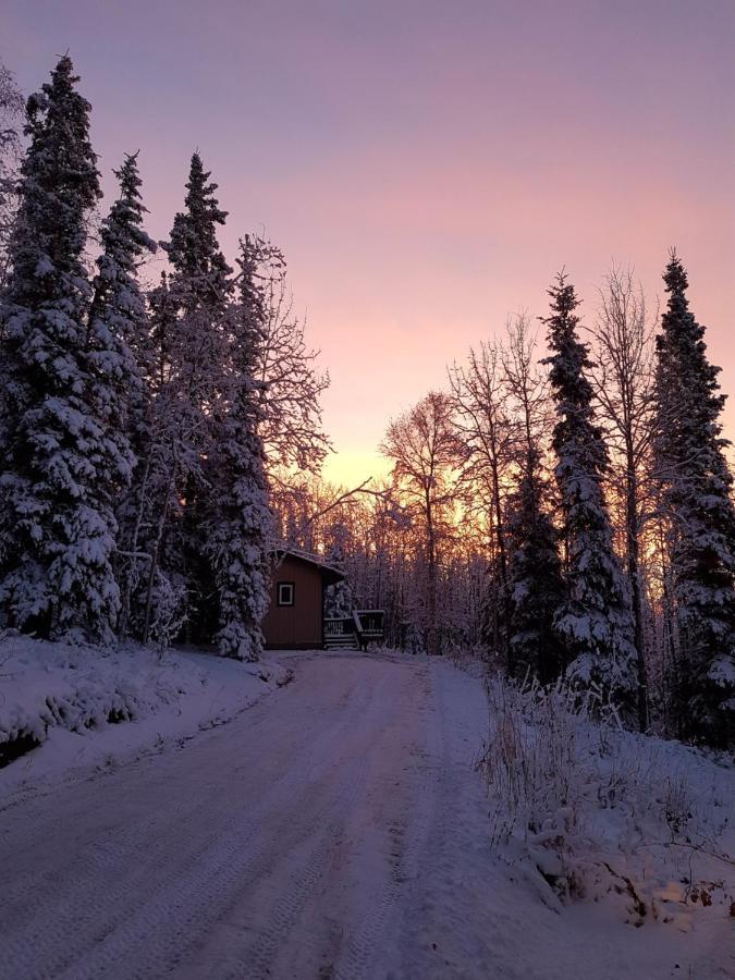 Northwoods Cottage Bed And Breakfast Fairbanks Exterior photo