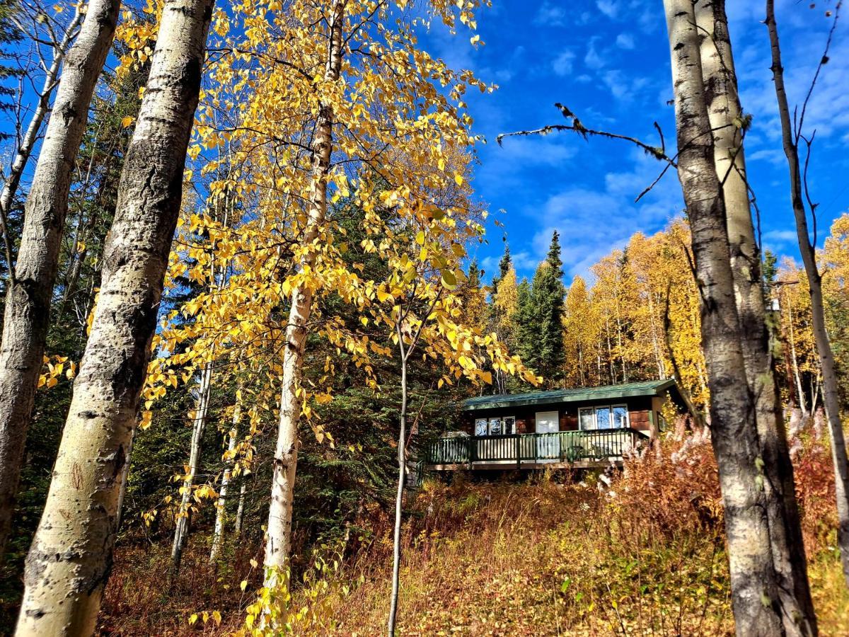 Northwoods Cottage Bed And Breakfast Fairbanks Exterior photo