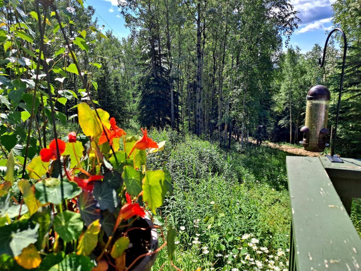 Northwoods Cottage Bed And Breakfast Fairbanks Exterior photo