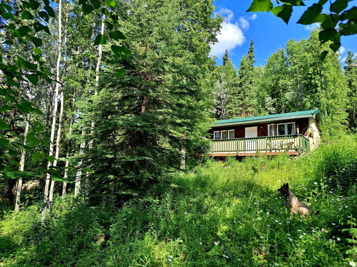 Northwoods Cottage Bed And Breakfast Fairbanks Exterior photo