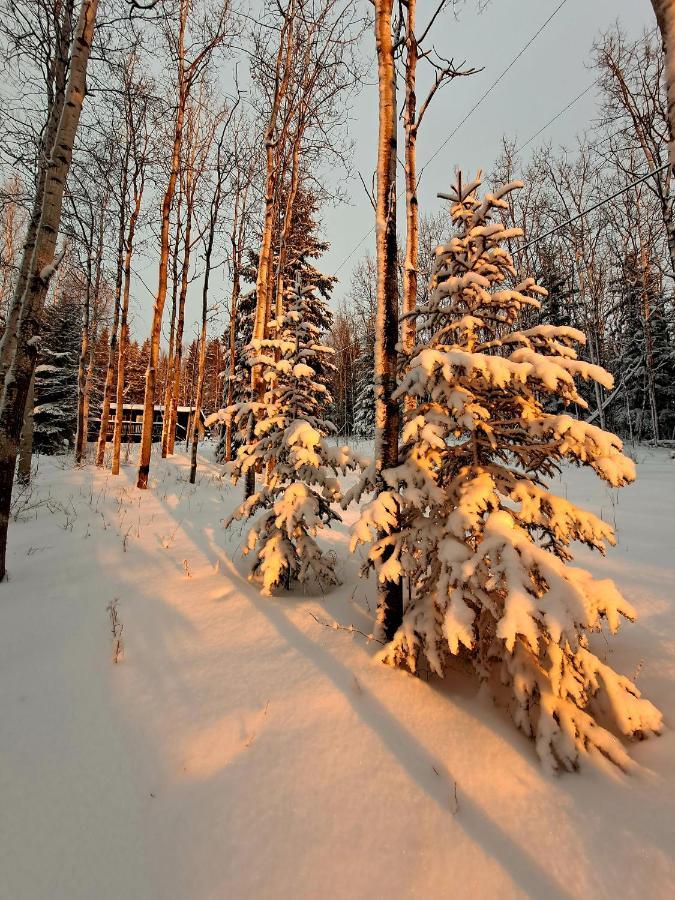 Northwoods Cottage Bed And Breakfast Fairbanks Exterior photo